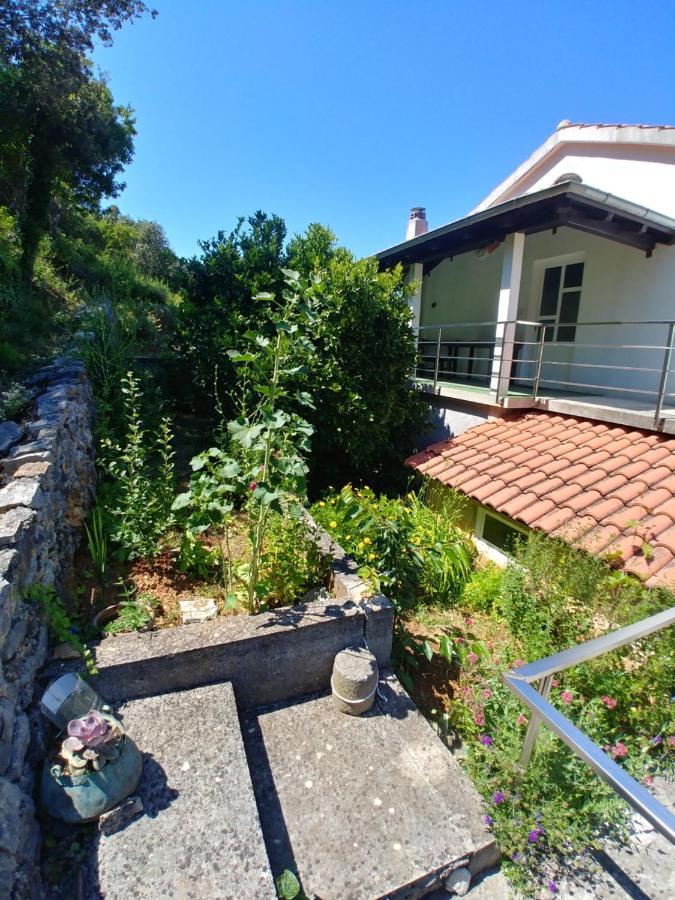 Apartments Bubica Luka  Екстериор снимка